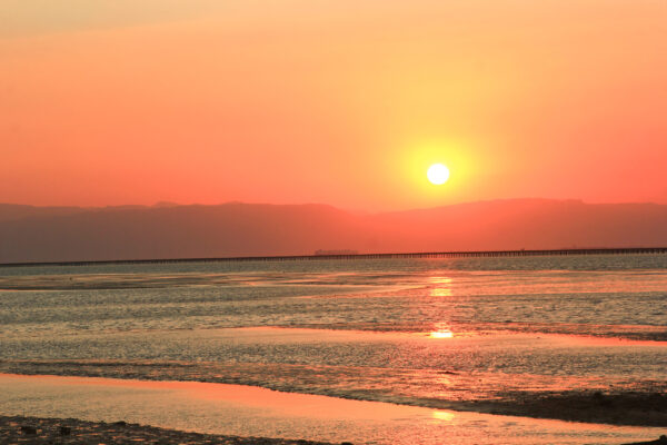 Beach (6)-2 Beach (6)-2