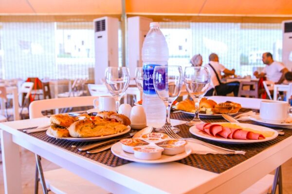 CZ0A0602-037-1024x540 CZ0A0602-037-1024x540