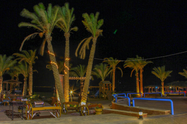 Night life (2)-2 Night life (2)-2